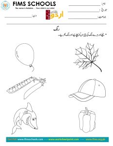 Rich Rusults on Google's SERP when searching for 'Urdu worksheets'