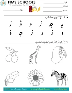 Rich Rusults on Google's SERP when searching for 'Urdu worksheets'